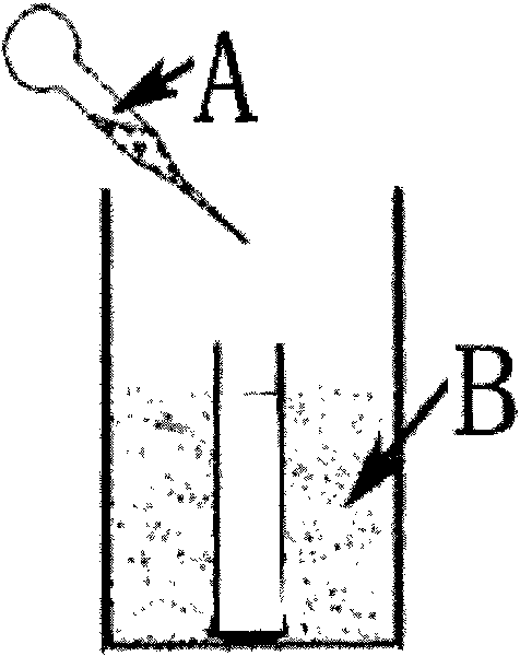 Method for preparing metal organic framework film