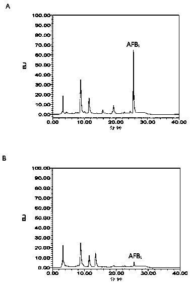 A strain that efficiently degrades aflatoxin b  <sub>1</sub> Escherichia coli cg1061