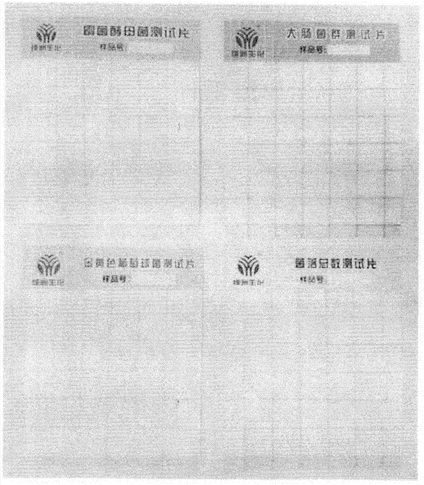 Composite essential oil moisture lotion and preparing method thereof