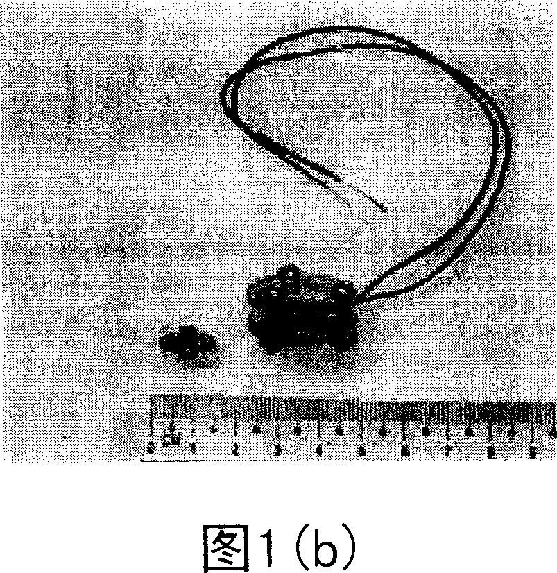 Magnetoelectric coupling device