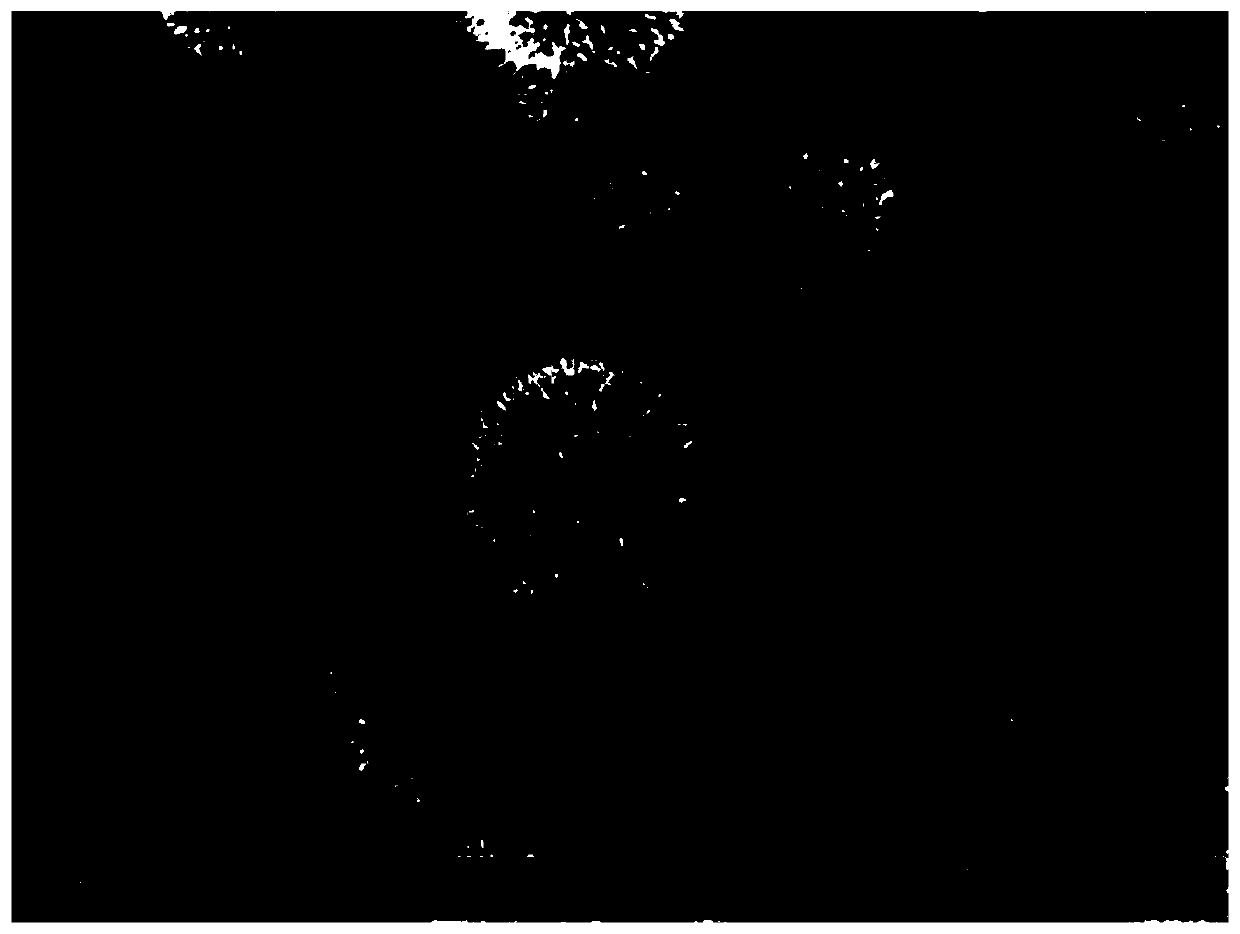 A PD/W that improves the performance of hydrogen sensors  <sub>18</sub> o  <sub>49</sub> Preparation method of composite material