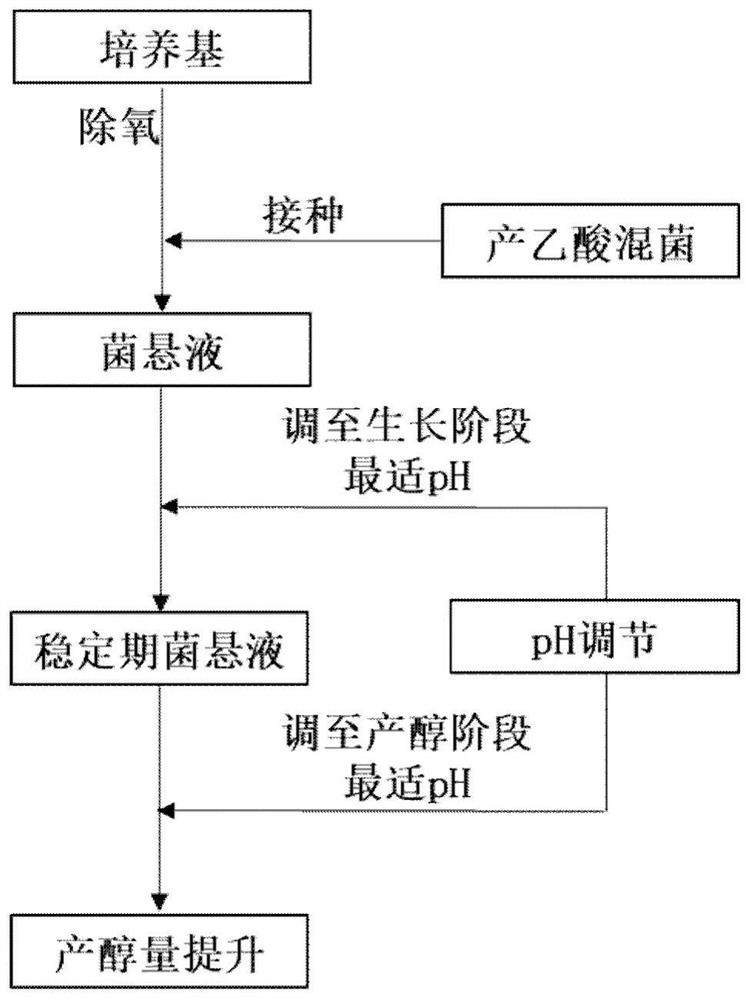 Two-step pH regulation method for producing ethanol through fermentation of synthesis gas