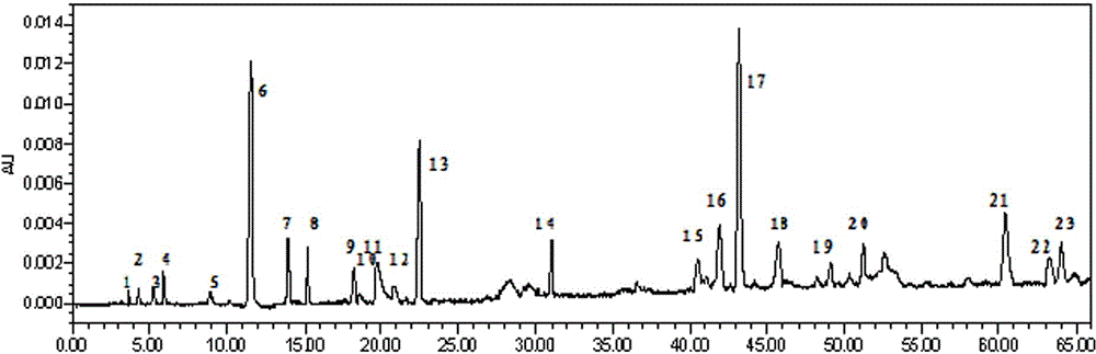 A method for determining the fingerprint of Hirudo phenantha medicinal material