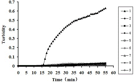 Porcine circovivus loop-mediated isothermal amplification kit and application thereof