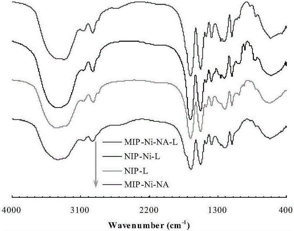 Preparation method of Ni-based catalyst with adjustable selectivity/non-selectivity