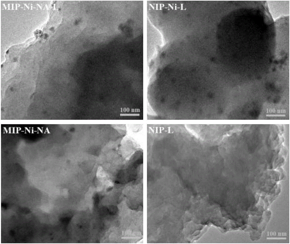 Preparation method of Ni-based catalyst with adjustable selectivity/non-selectivity