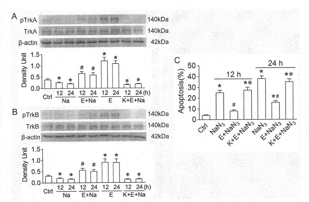 New application of echinacoside