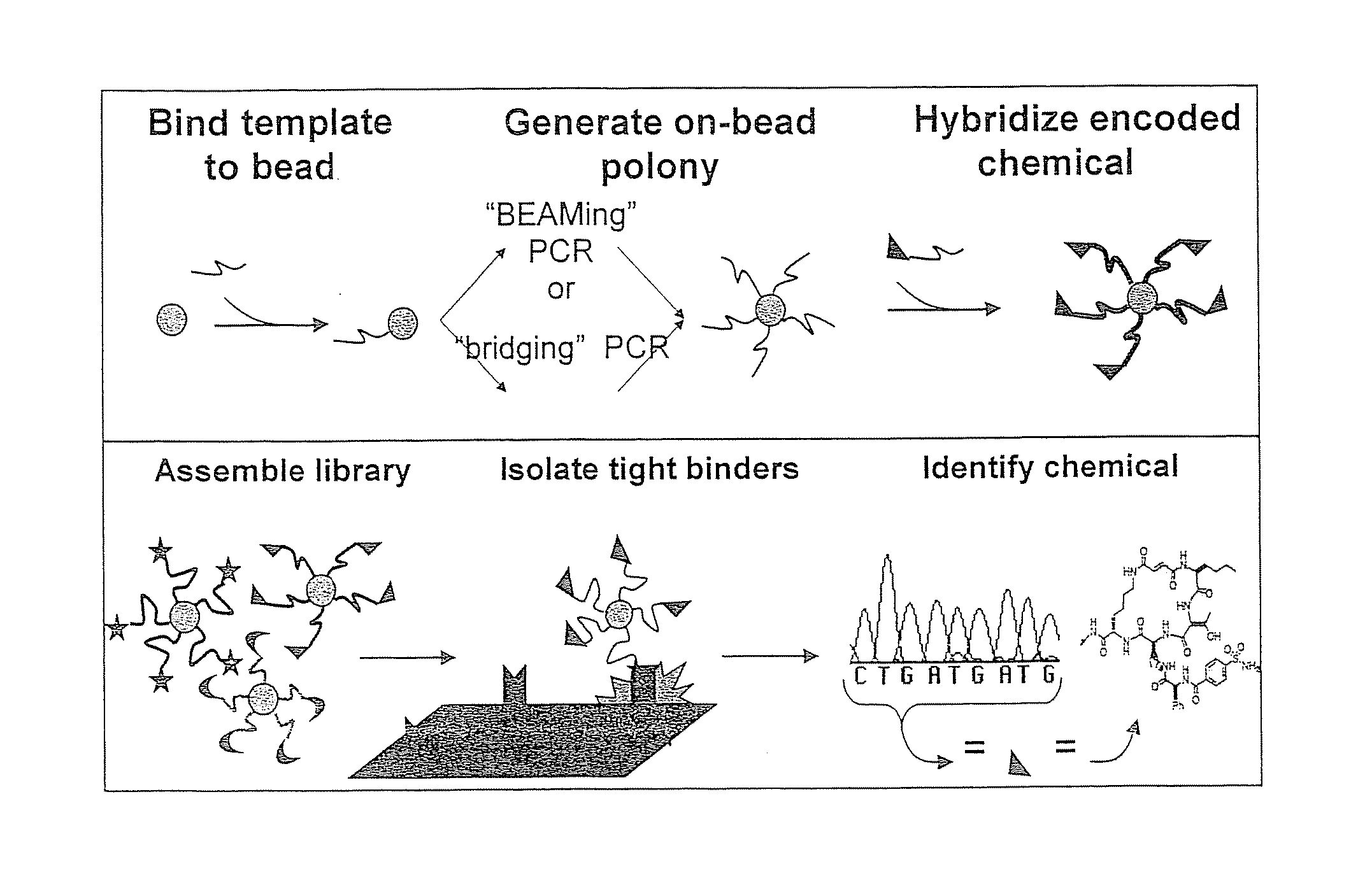 Compositions, Methods, and Kits for Identifying Candidate Molecules from Encoded Chemical Libraries