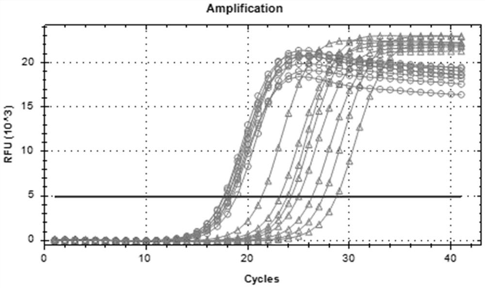 Intestinal flora marker for predicting curative effect of immunotherapy and application of intestinal flora marker