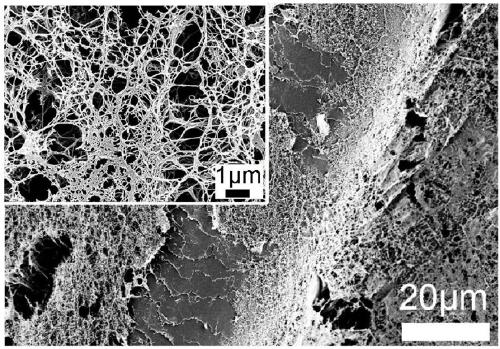 Cellulose/animal hair composite material for friction nano generator and self-driving sensor and preparation method thereof