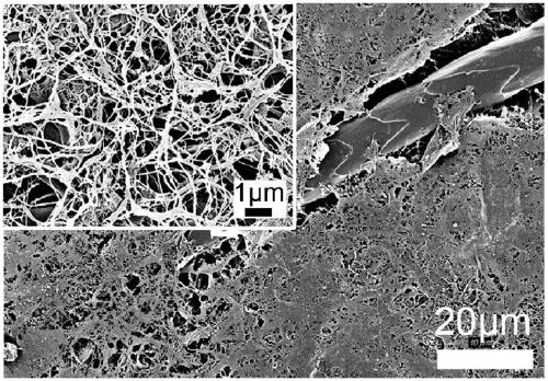 Cellulose/animal hair composite material for friction nano generator and self-driving sensor and preparation method thereof