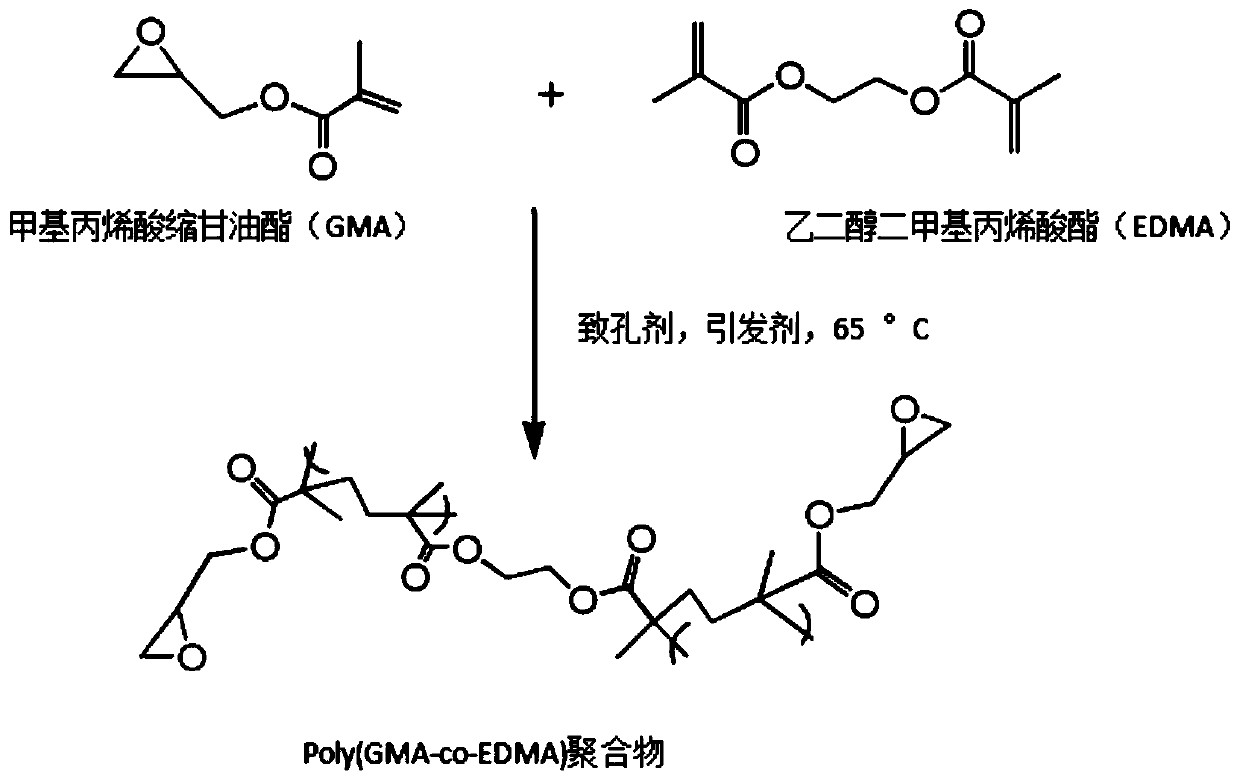 Anti-acetylcholinesterase active composition in Chinese mahonia stem, and screening method and application of anti-acetylcholinesterase active composition