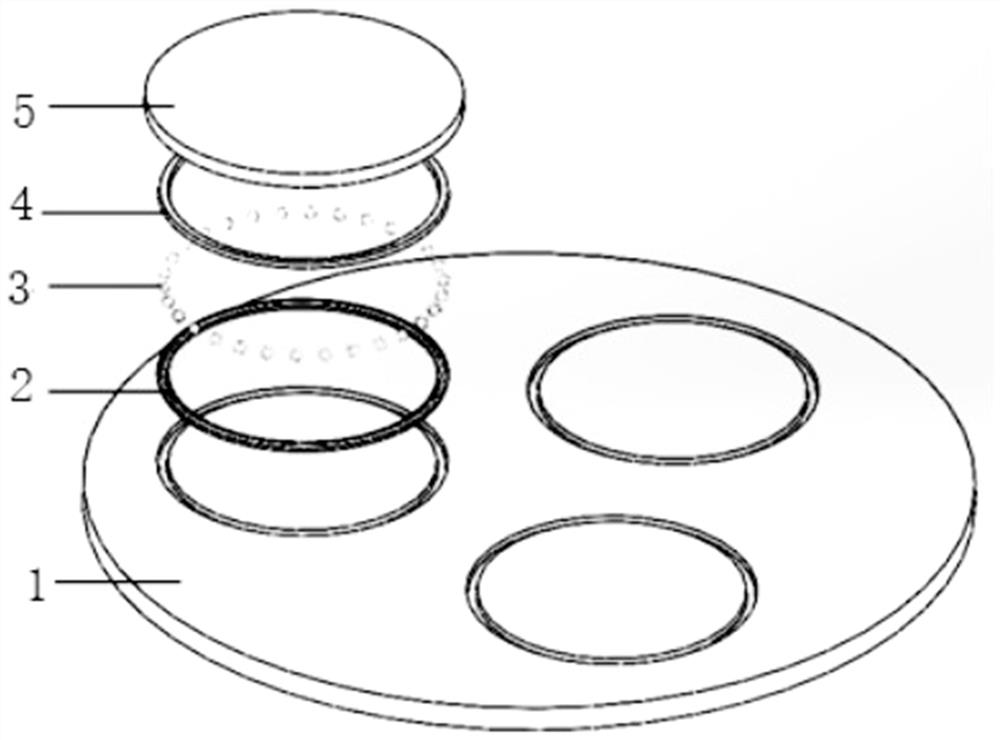 High-temperature-resistant ceramic coating graphite tray assembly