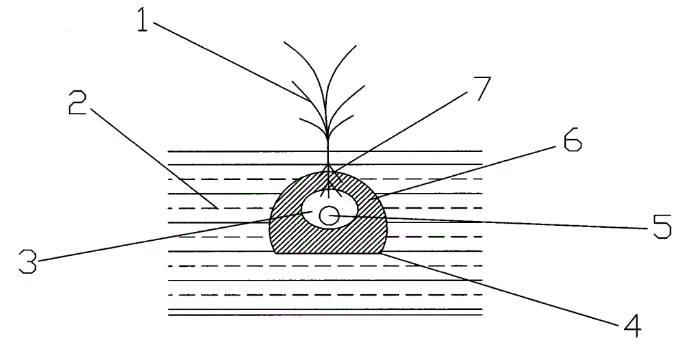 Water-saving Irrigation Method of Near-root Reinfiltration Irrigation