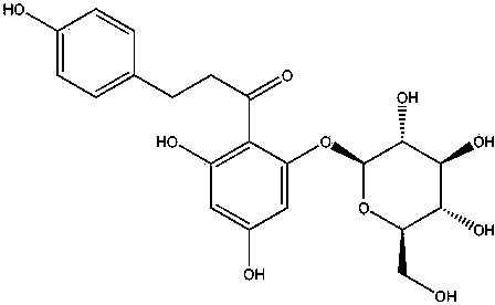 Method for efficiently extracting phlorizin from plants