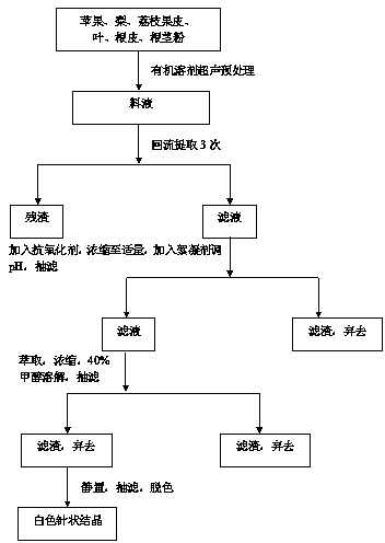 Method for efficiently extracting phlorizin from plants