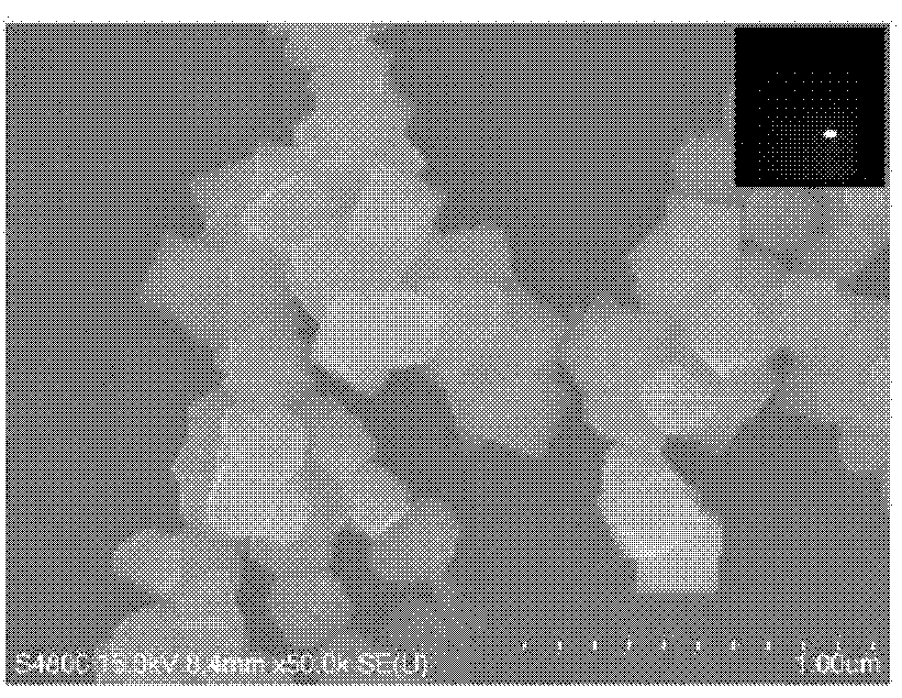 Method for preparing nano zinc gallate with blue fluorescence