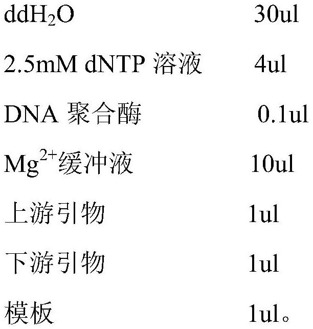 Cephalosporin C acylase mutant and its preparation method and application