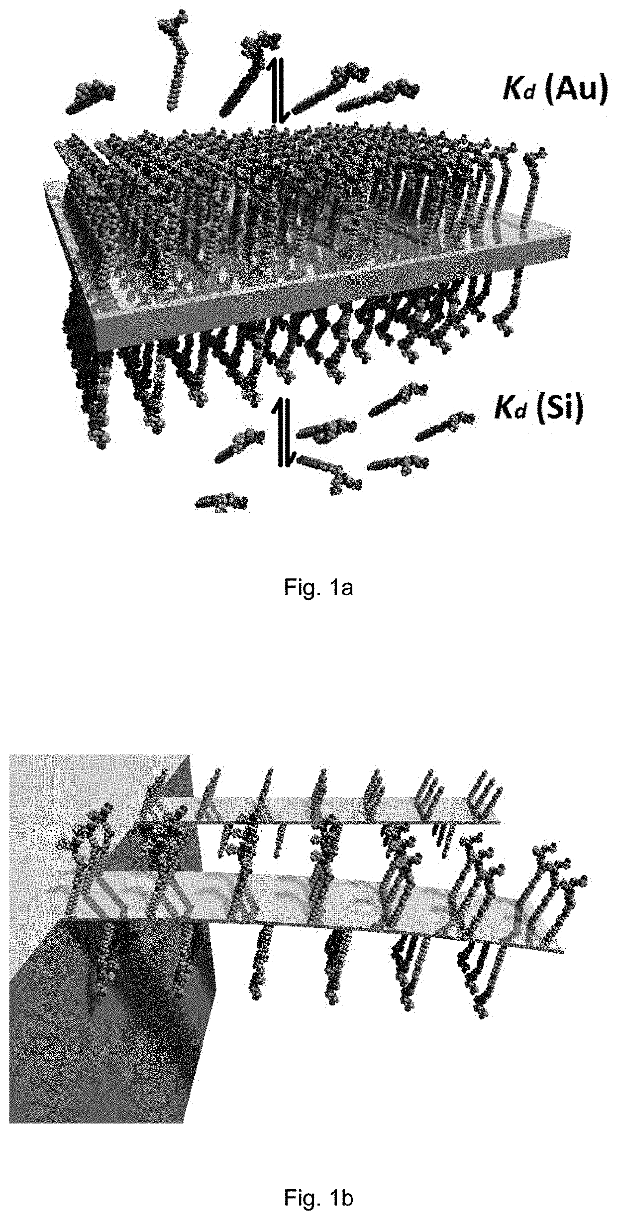 Cantilever sensors for molecule detection