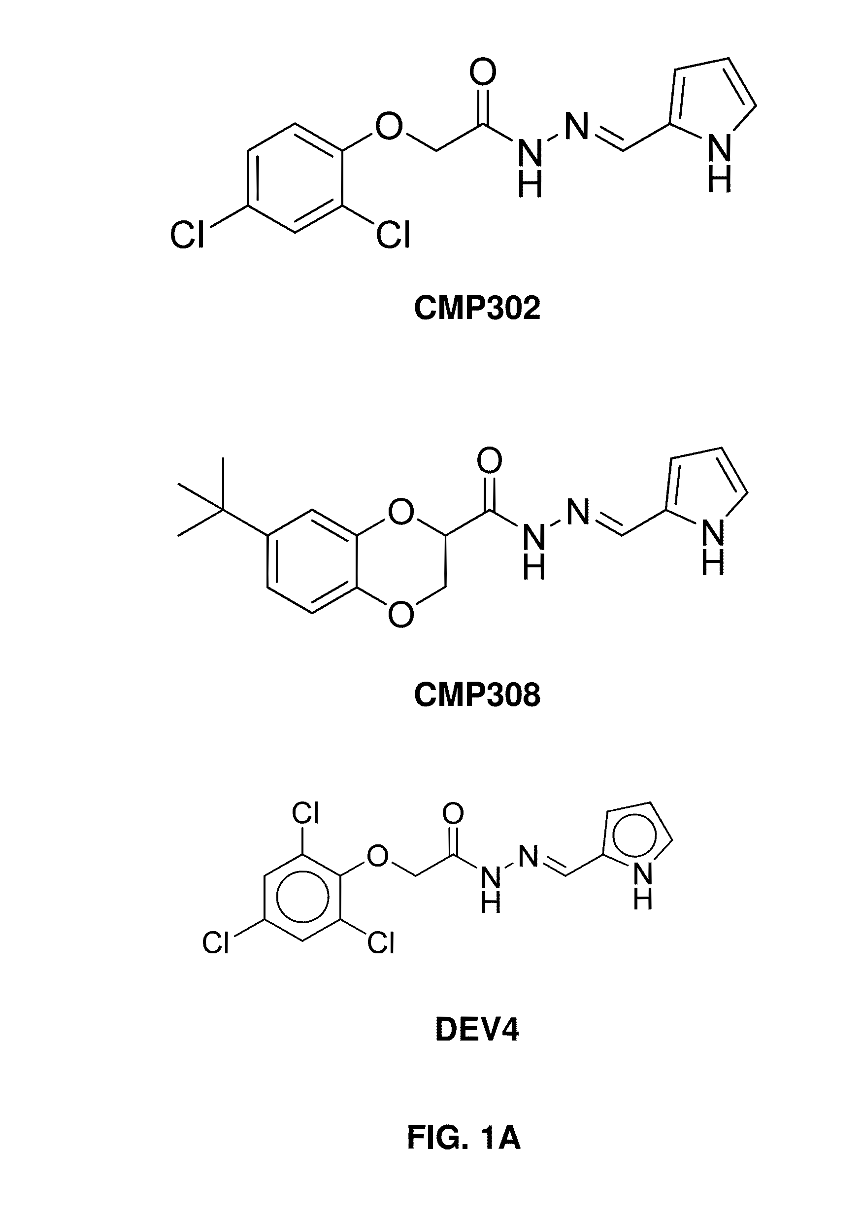 ER-stress inducing compounds and methods of use thereof