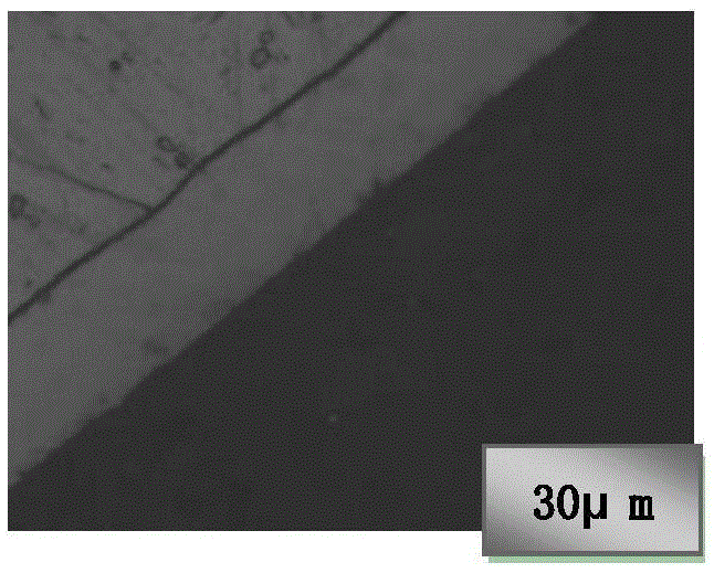 Glow ion carbonization method for enhancing surface hardness and corrosion resistance of stainless steel