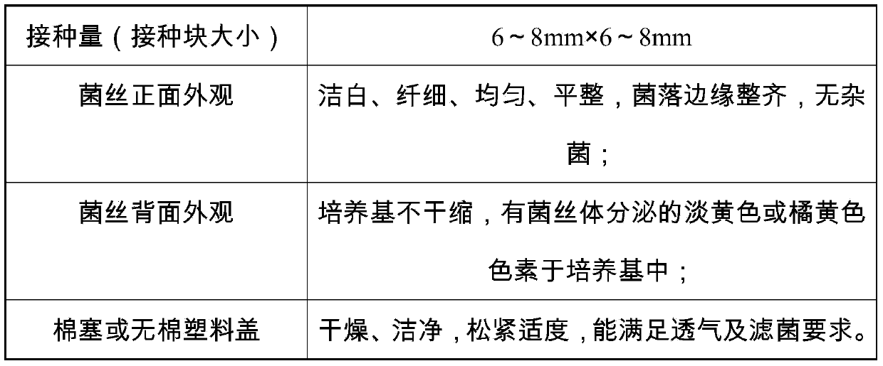 Cordyceps militaris factory production method and process