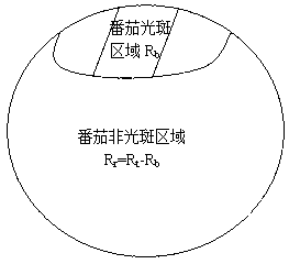 Outdoor tomato identification method based on subsection threshold image segmentation and light spot identification