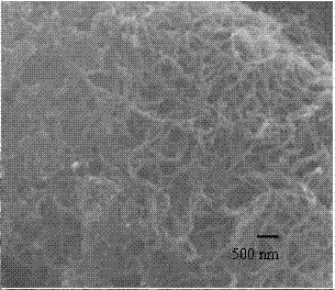 Mesoporous zinc ferrite, preparation method thereof, and magnetic carbon nanotube prepared from same