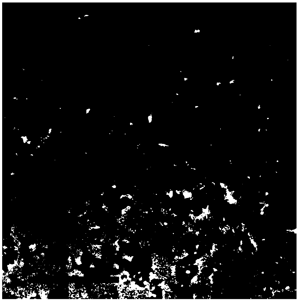 Cobalt disulfide nanocrystal / graphene composite electrode material and preparation method thereof