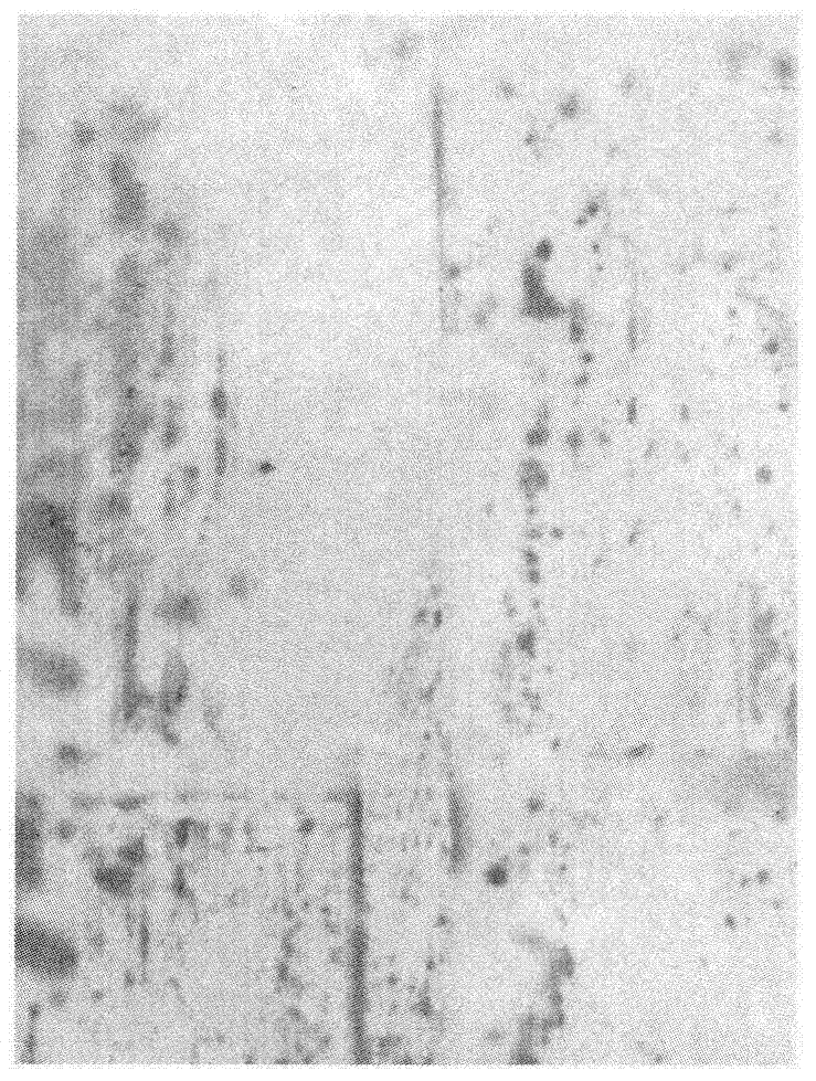 Interface treatment agent and preparation method thereof