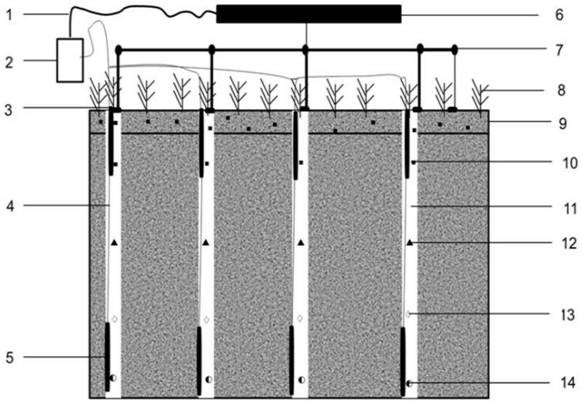 Soil pollution monitoring and ecological restoration method