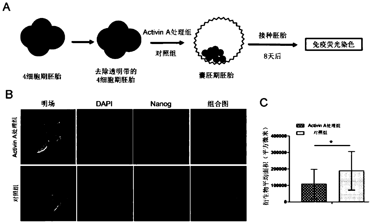 A method for improving the chimerism ability of mouse ES cells to early embryonic epiblast