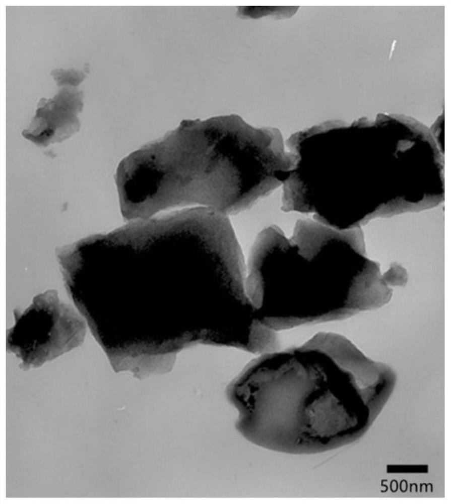 Polybenzoquinone polymer and preparation method thereof