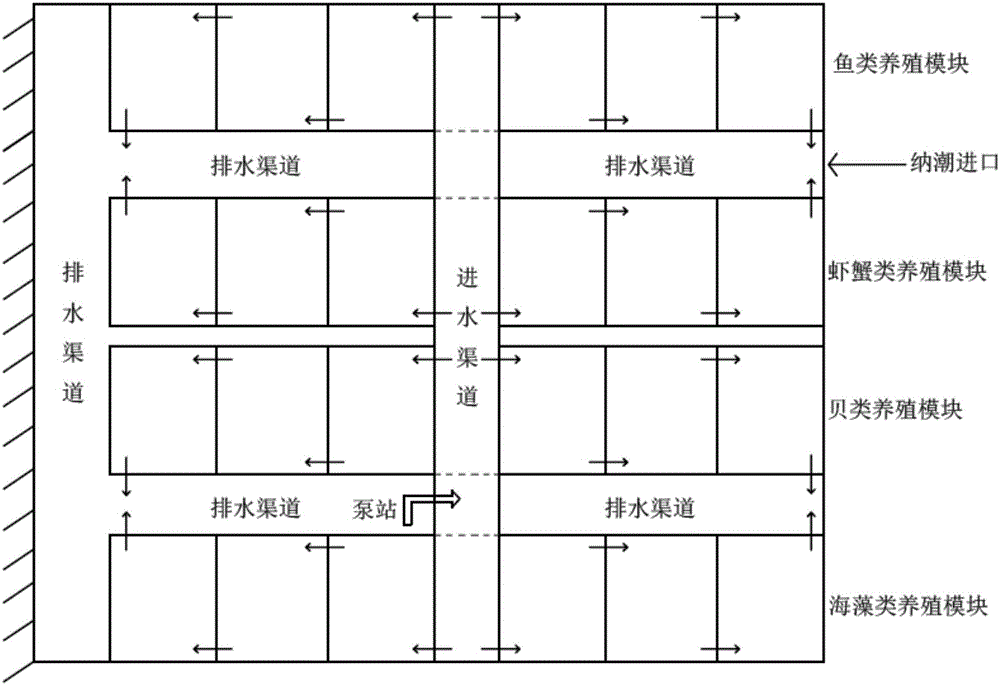 Land-based seawater multi-trophic-level composite ecological breeding system