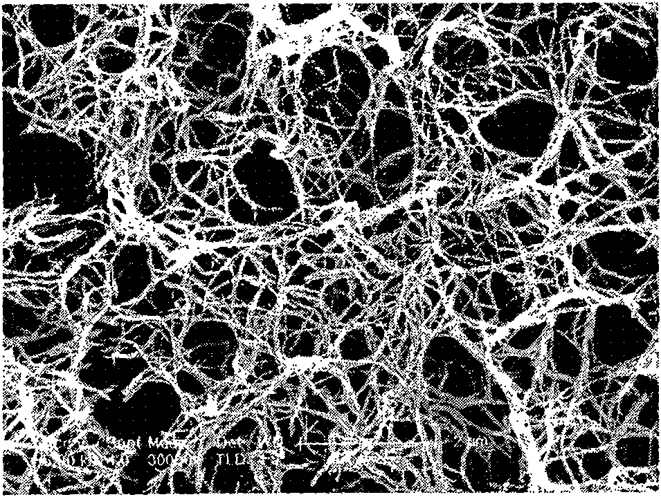 Titanium oxide nano wire film on metallic titanium surface and manufacture method thereof