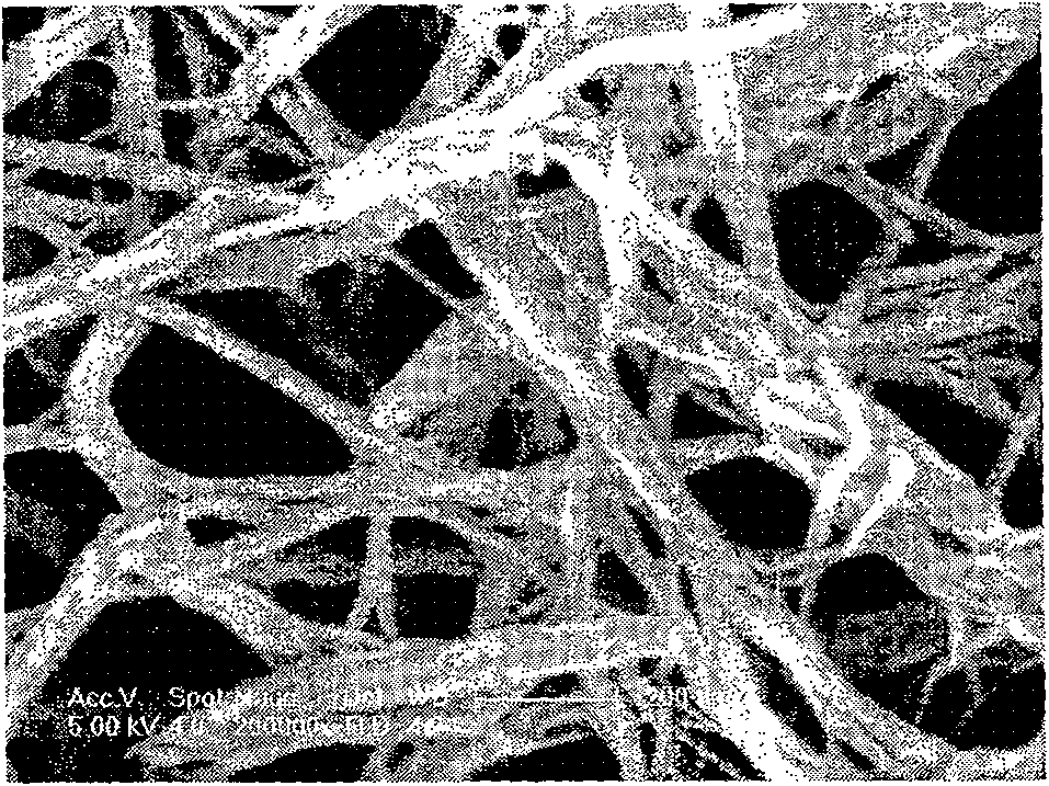 Titanium oxide nano wire film on metallic titanium surface and manufacture method thereof