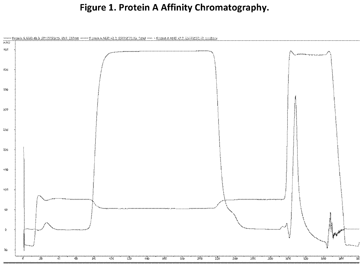 Novel angiopoietin 2, VEGF dual antagonists