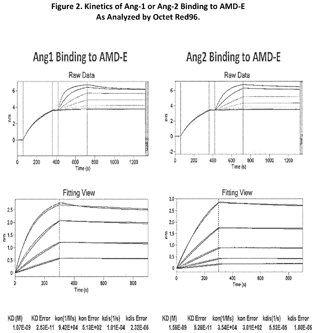 Novel angiopoietin 2, VEGF dual antagonists