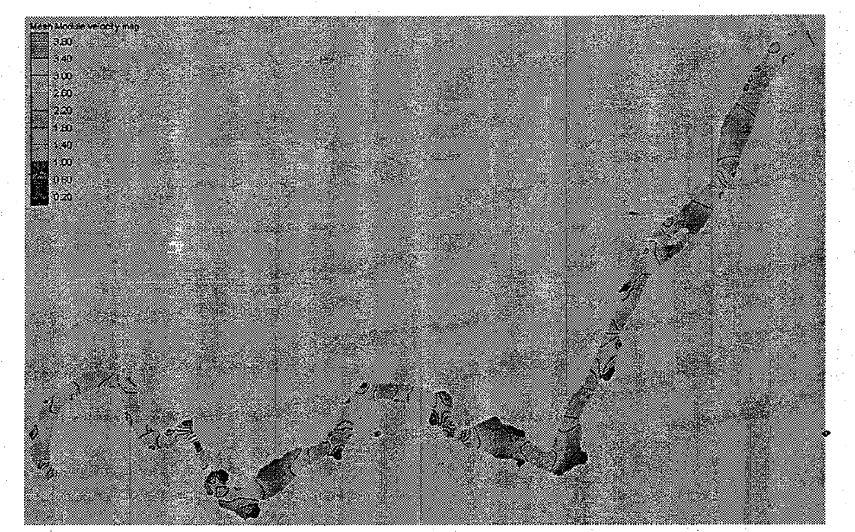 Technology for dynamically predicting diffusion condition of oil spilling in rivers