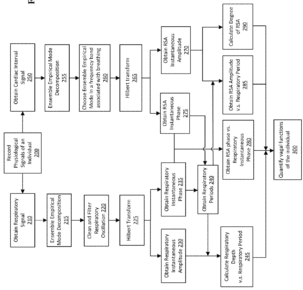 System and method for quantitative analysis of respiratory sinus arrhythmia