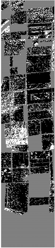 Multi-spectrum data supervised classification method based on relevant linear information entropy