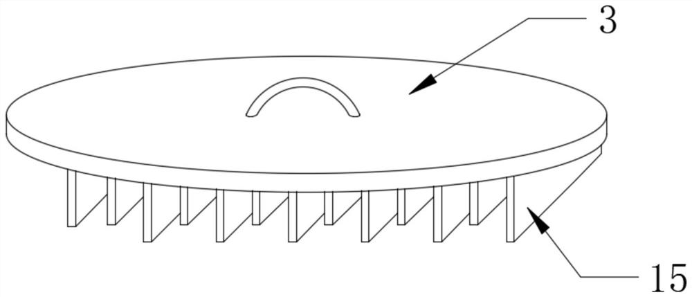 Rice dust removal device