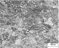 Isothermal forging method of TiAl alloy