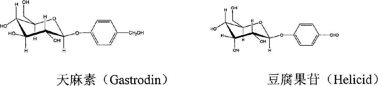 Application of 4-formylphenyl-beta-D-glucoside compounds in treating chronic neuropathic pains