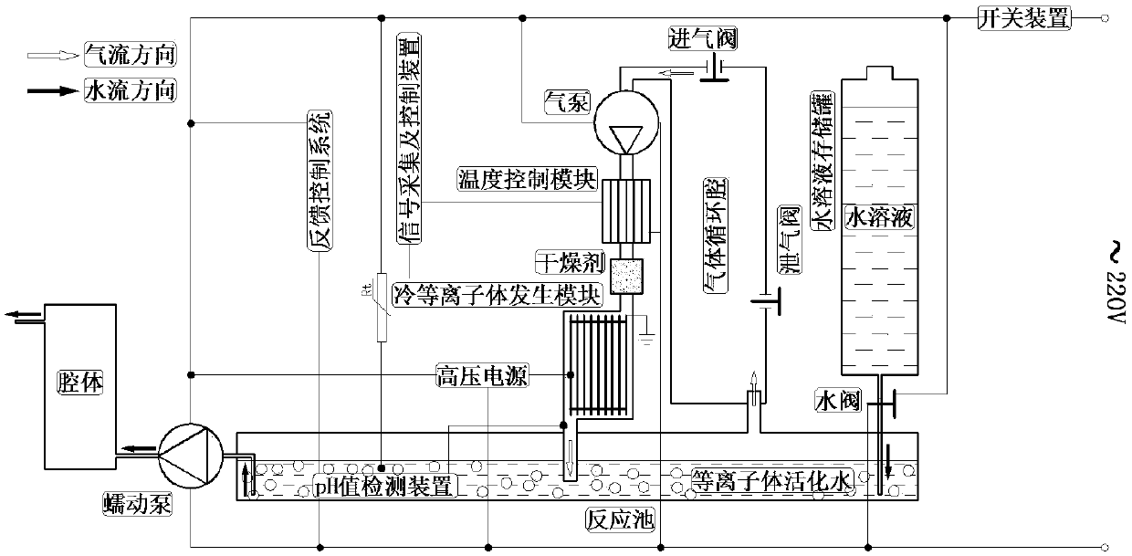 System and method for preparing plasma activated water for sterilization in cavity