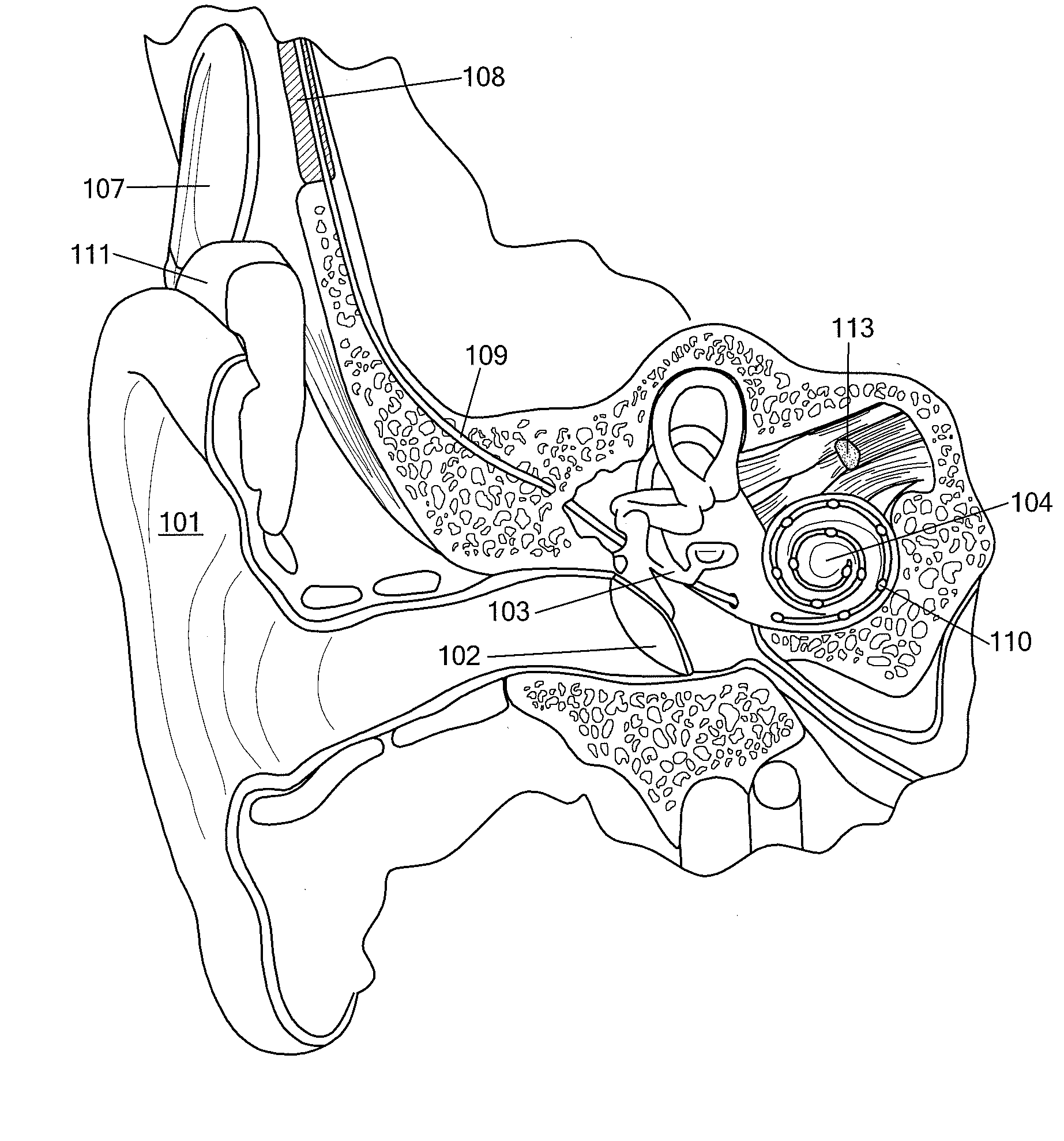 Envelope Specific Stimulus Timing