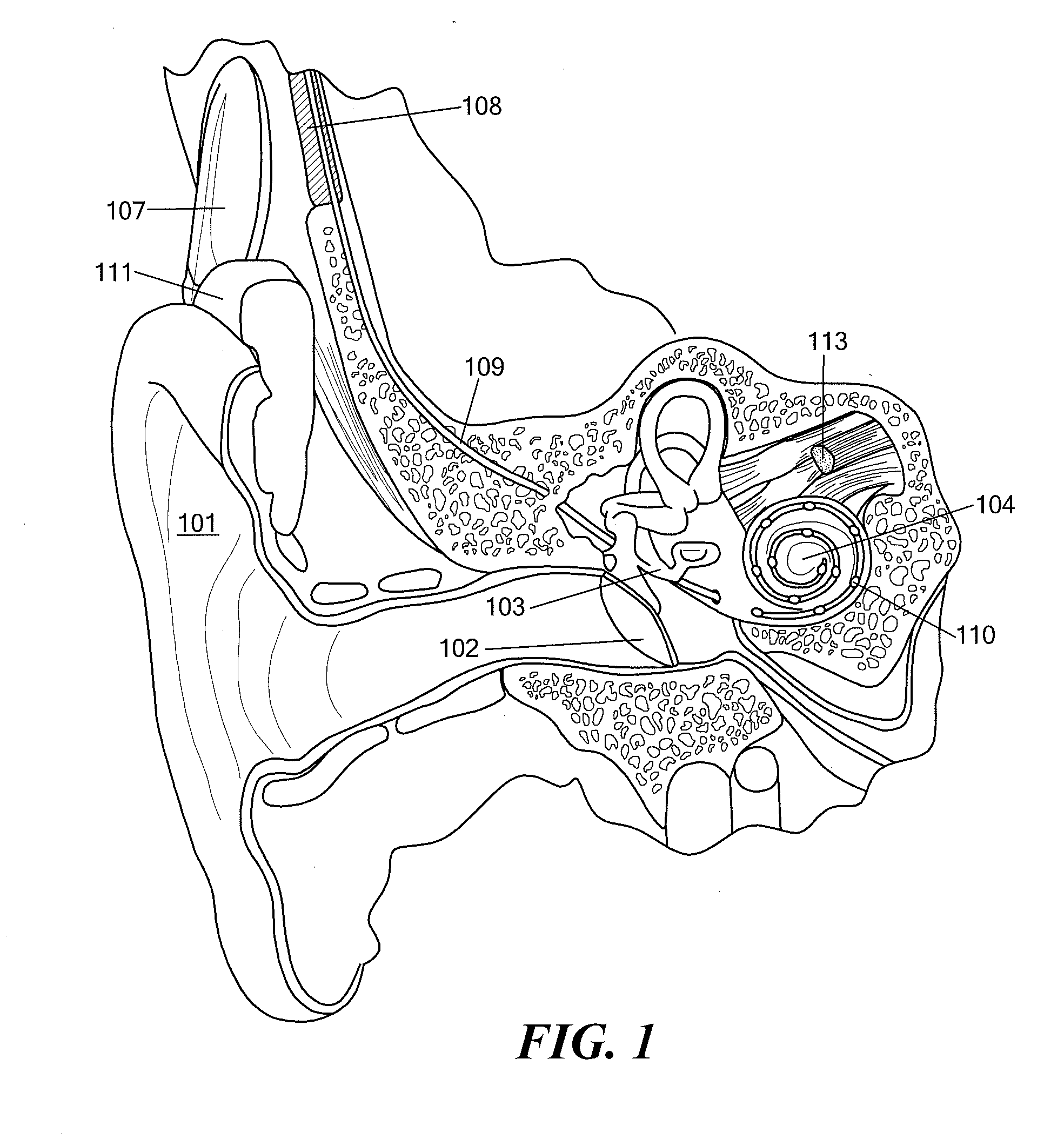 Envelope Specific Stimulus Timing