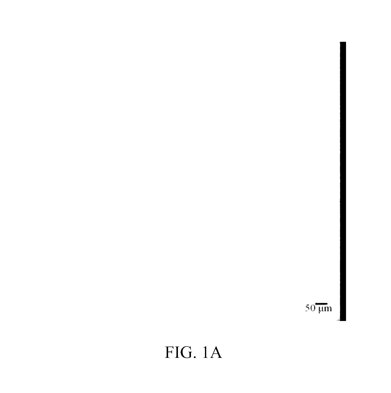 Stable pharmaceutical composition