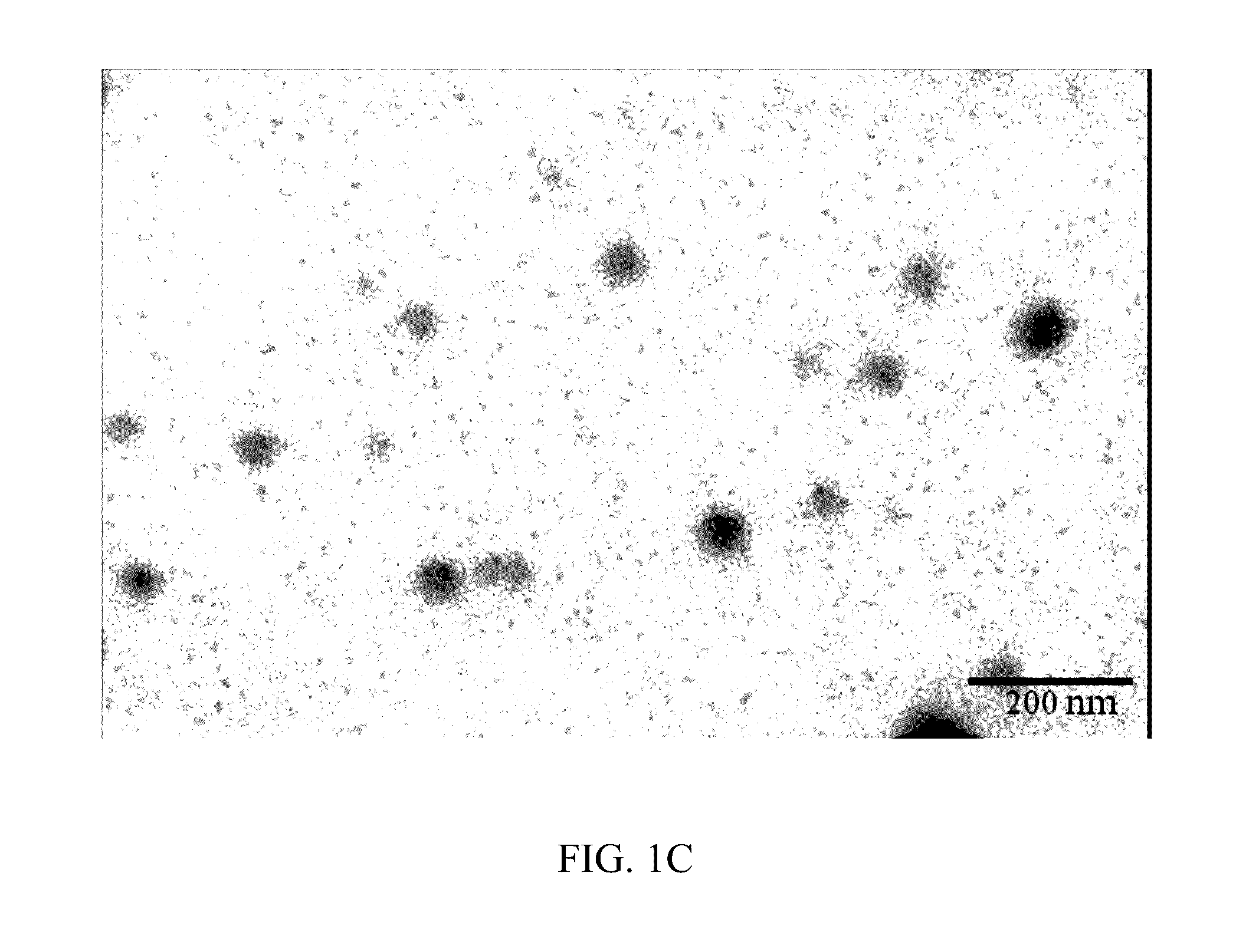 Stable pharmaceutical composition