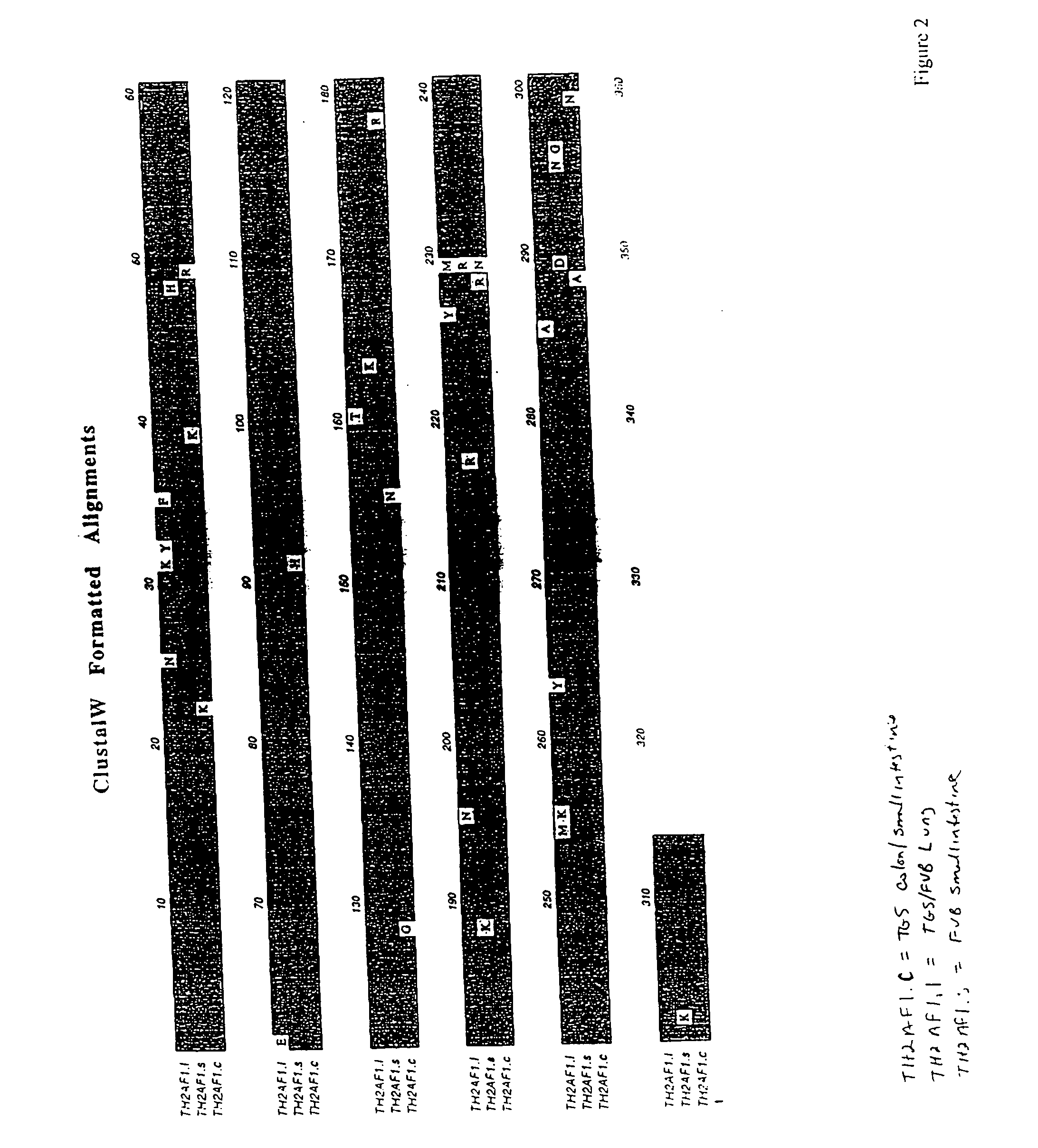 Antibodies against inducible TH2 cell factors